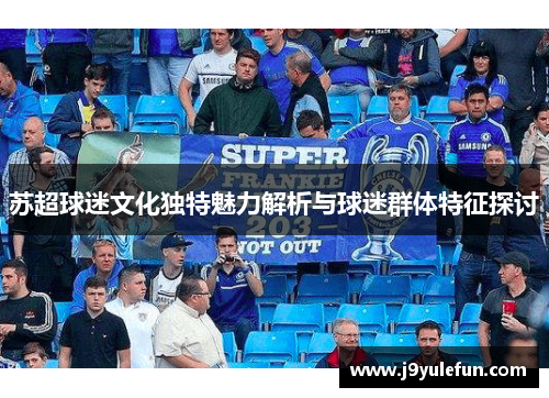 苏超球迷文化独特魅力解析与球迷群体特征探讨